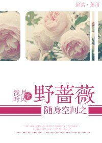 隨身空間之野薔薇
