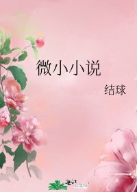 微小