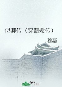 似卿传（穿甄嬛传）