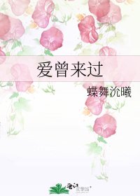 爱曾来过