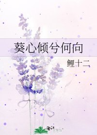 葵心倾兮何向